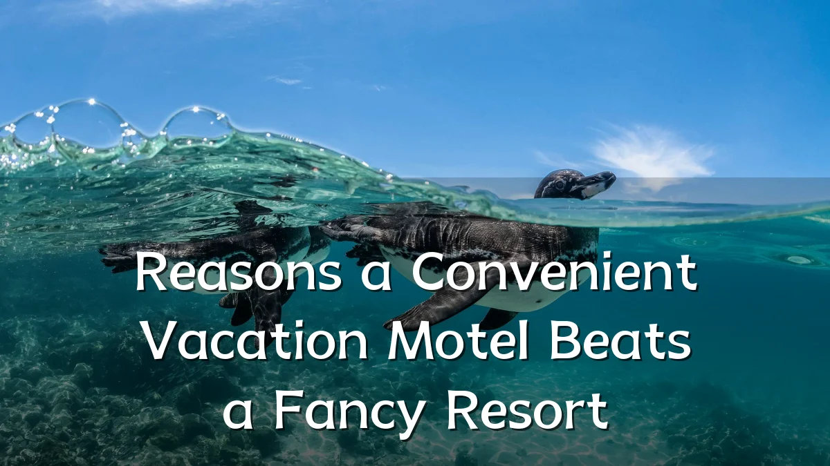Reasons a Convenient Vacation Motel Beats a Fancy Resort