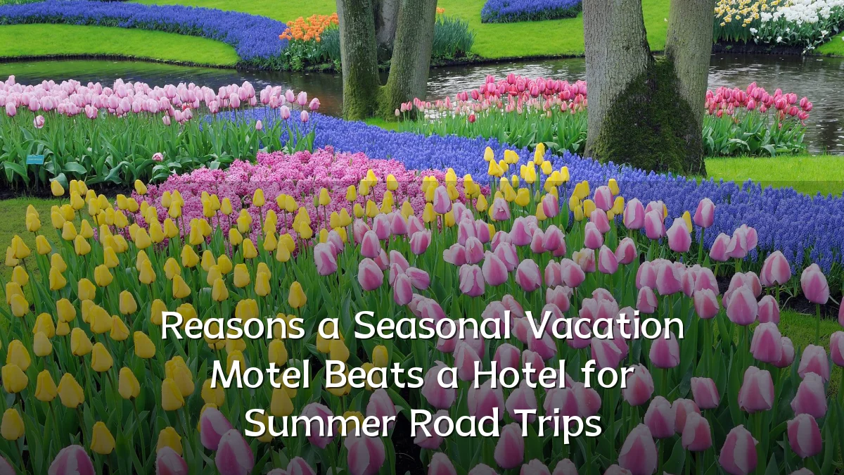 Reasons a Seasonal Vacation Motel Beats a Hotel for Summer Road Trips