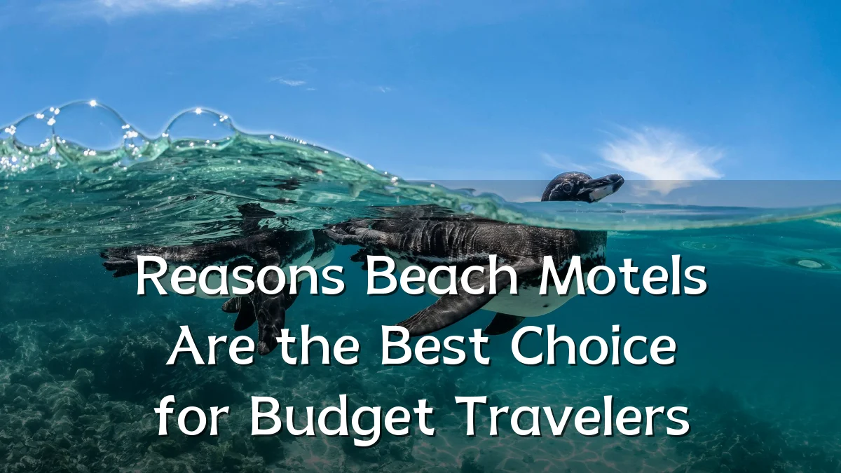 Reasons Beach Motels Are the Best Choice for Budget Travelers