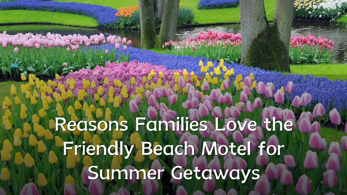 Reasons Families Love the Friendly Beach Motel for Summer Getaways