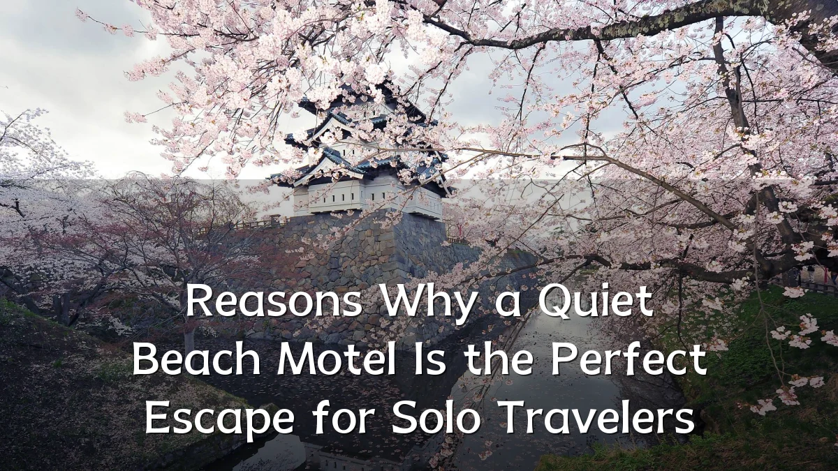 Reasons Why a Quiet Beach Motel Is the Perfect Escape for Solo Travelers