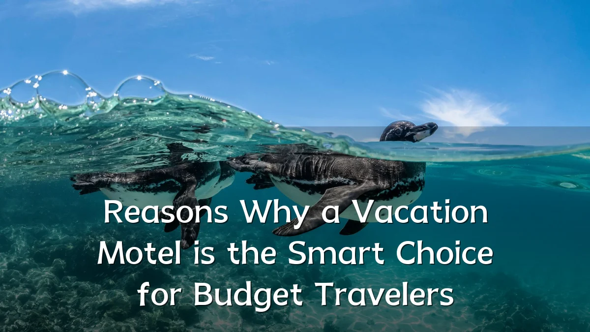 Reasons Why a Vacation Motel is the Smart Choice for Budget Travelers