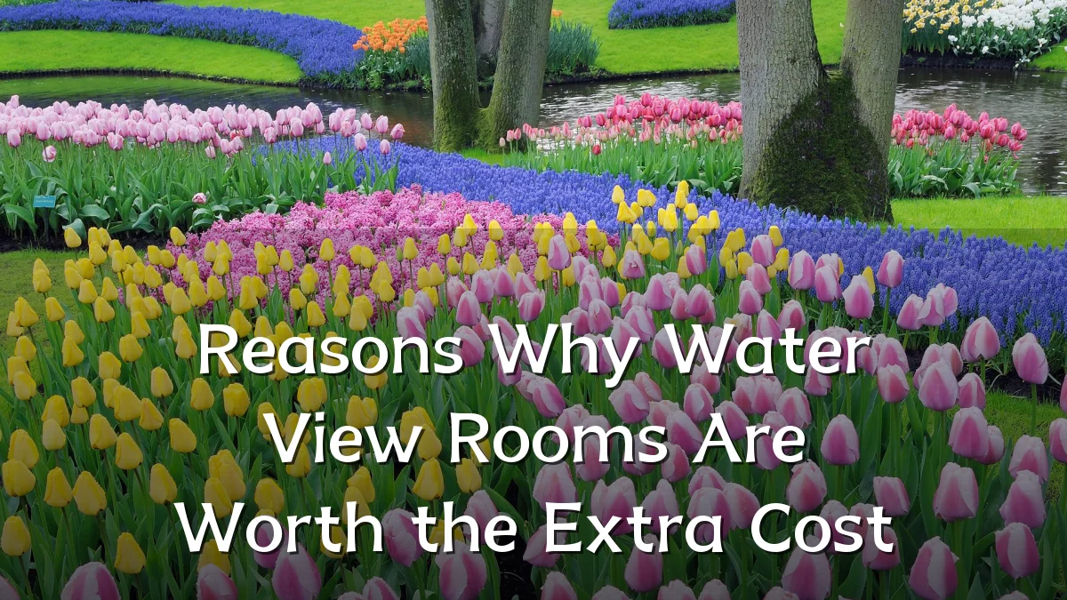 Reasons Why Water View Rooms Are Worth the Extra Cost