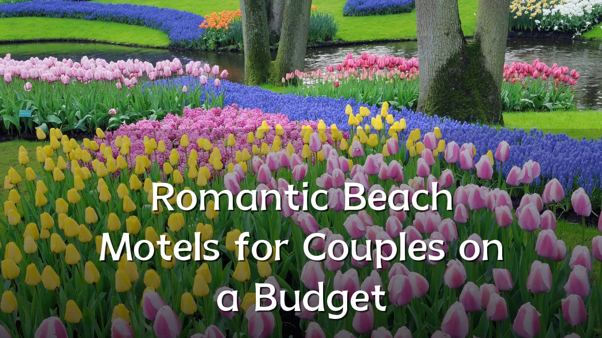 Romantic Beach Motels for Couples on a Budget