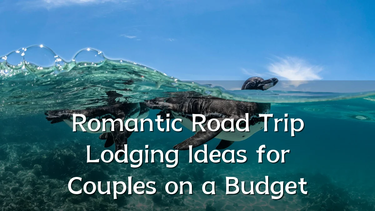 Romantic Road Trip Lodging Ideas for Couples on a Budget