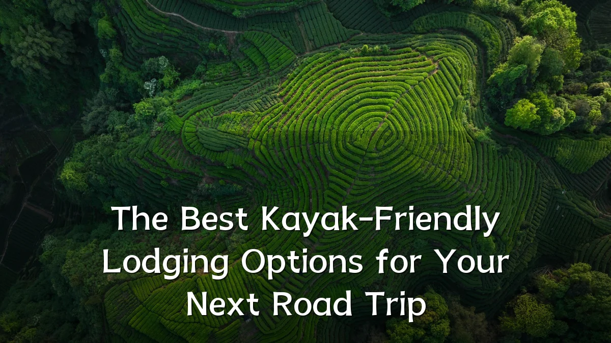 The Best Kayak-Friendly Lodging Options for Your Next Road Trip