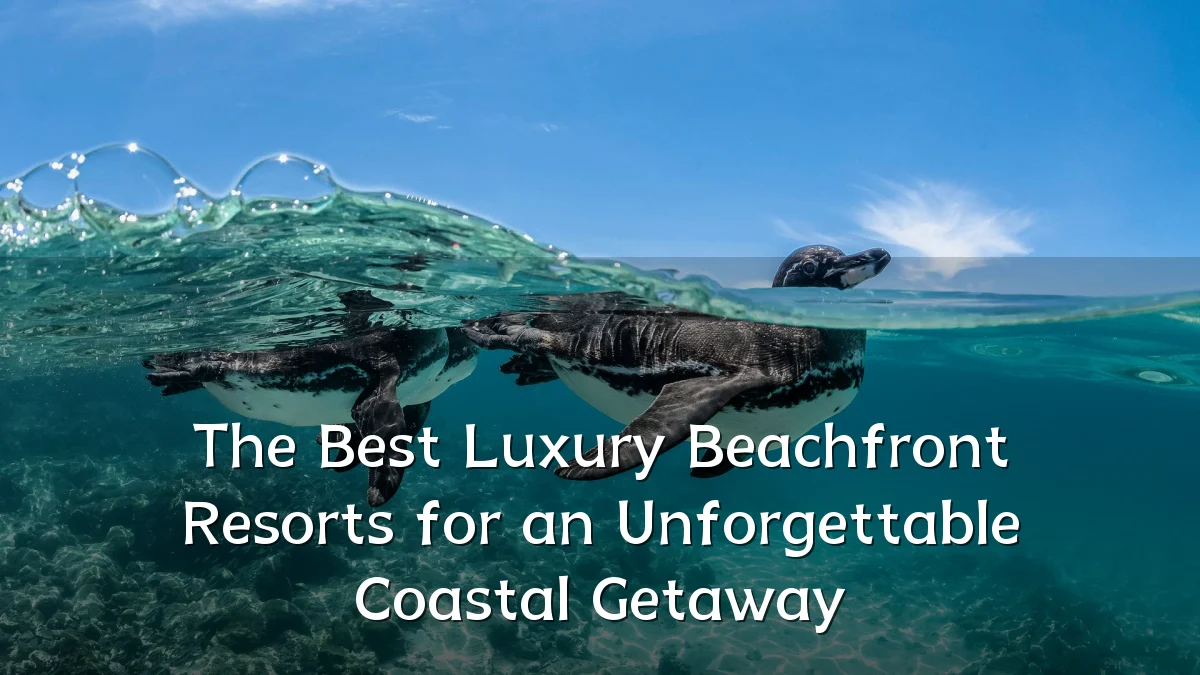 The Best Luxury Beachfront Resorts for an Unforgettable Coastal Getaway