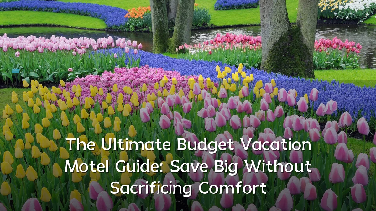 The Ultimate Budget Vacation Motel Guide: Save Big Without Sacrificing Comfort