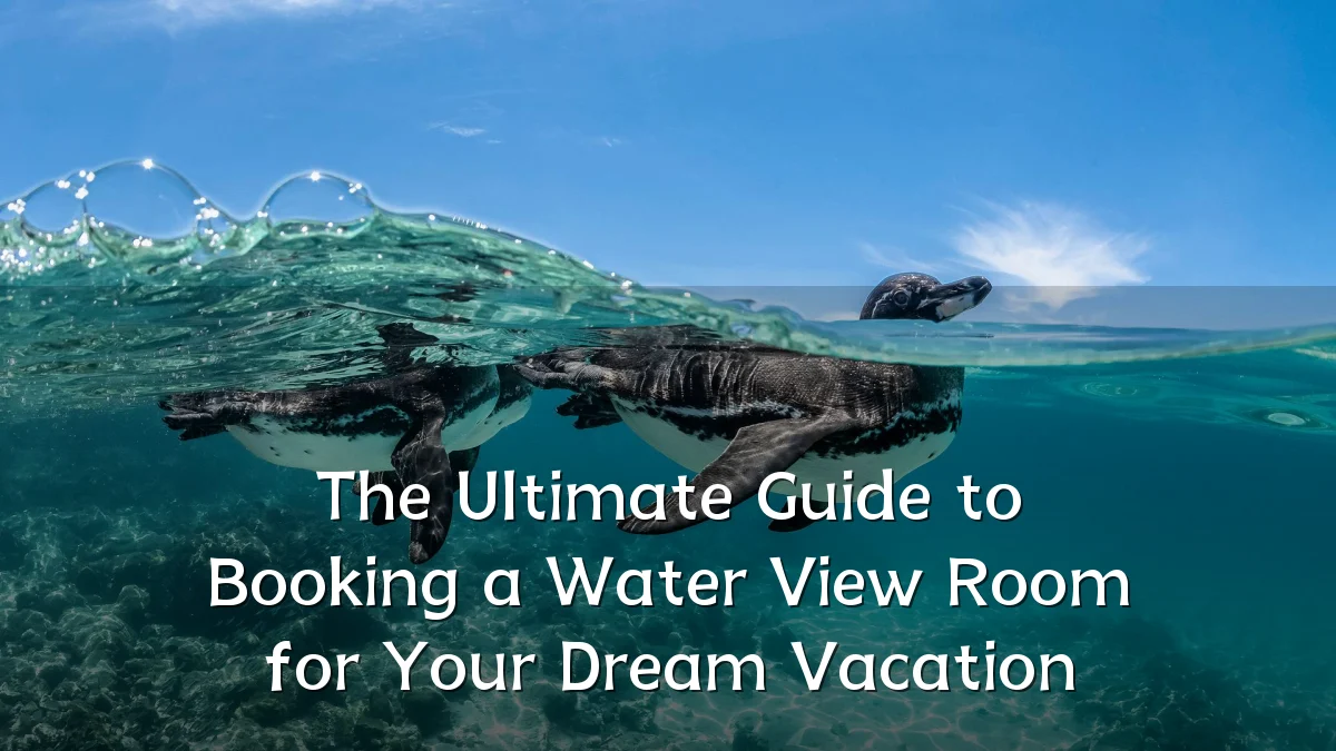 The Ultimate Guide to Booking a Water View Room for Your Dream Vacation