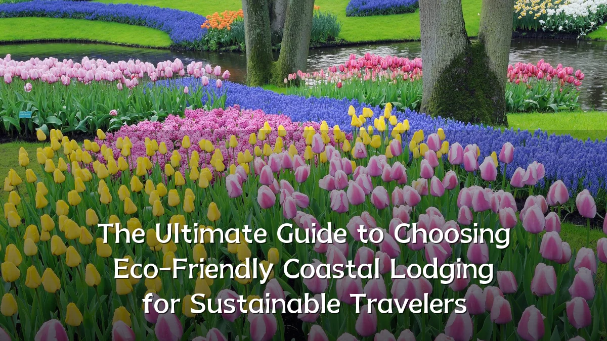 The Ultimate Guide to Choosing Eco-Friendly Coastal Lodging for Sustainable Travelers