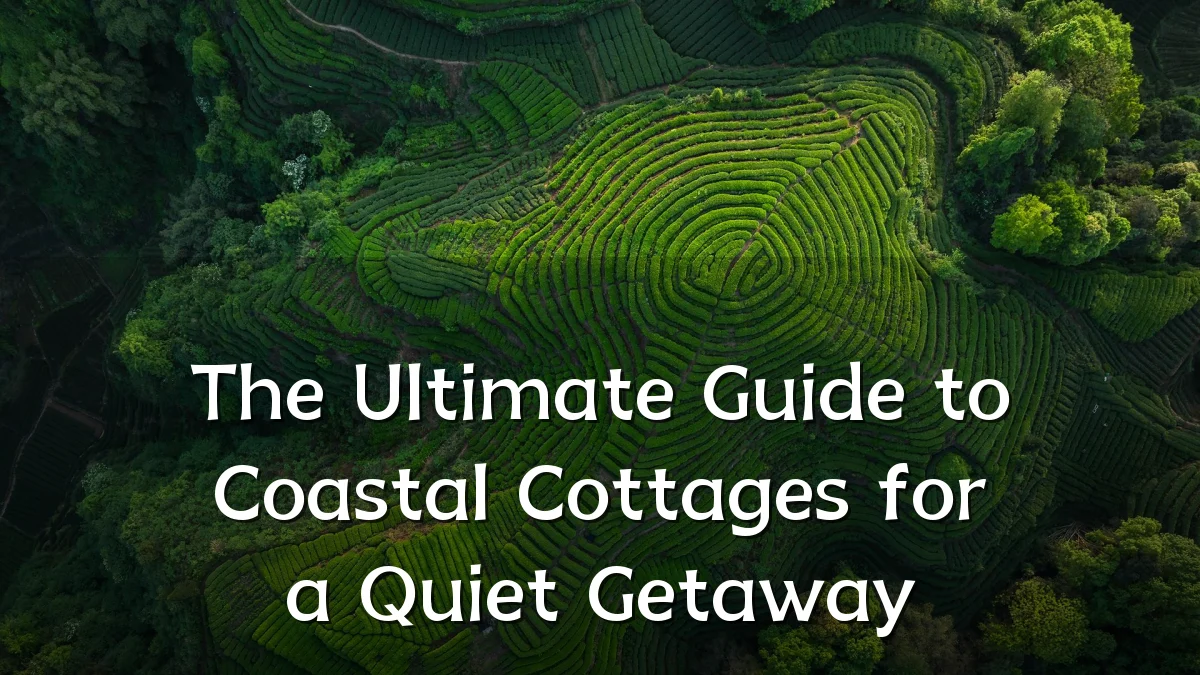 The Ultimate Guide to Coastal Cottages for a Quiet Getaway