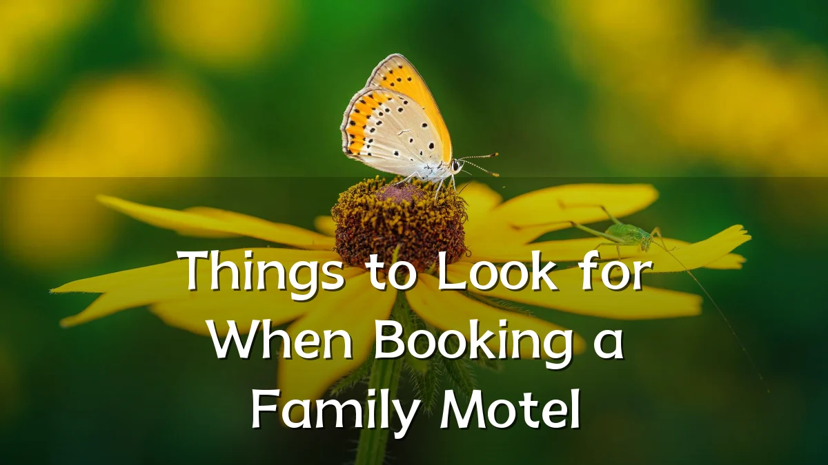 Things to Look for When Booking a Family Motel