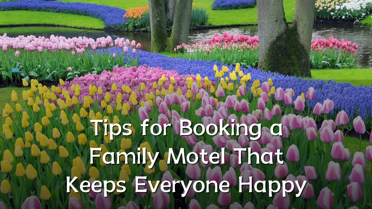 Tips for Booking a Family Motel That Keeps Everyone Happy