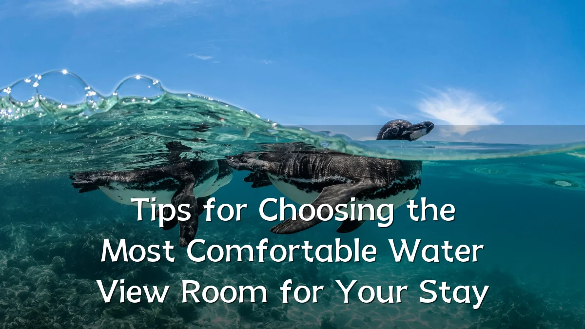 Tips for Choosing the Most Comfortable Water View Room for Your Stay