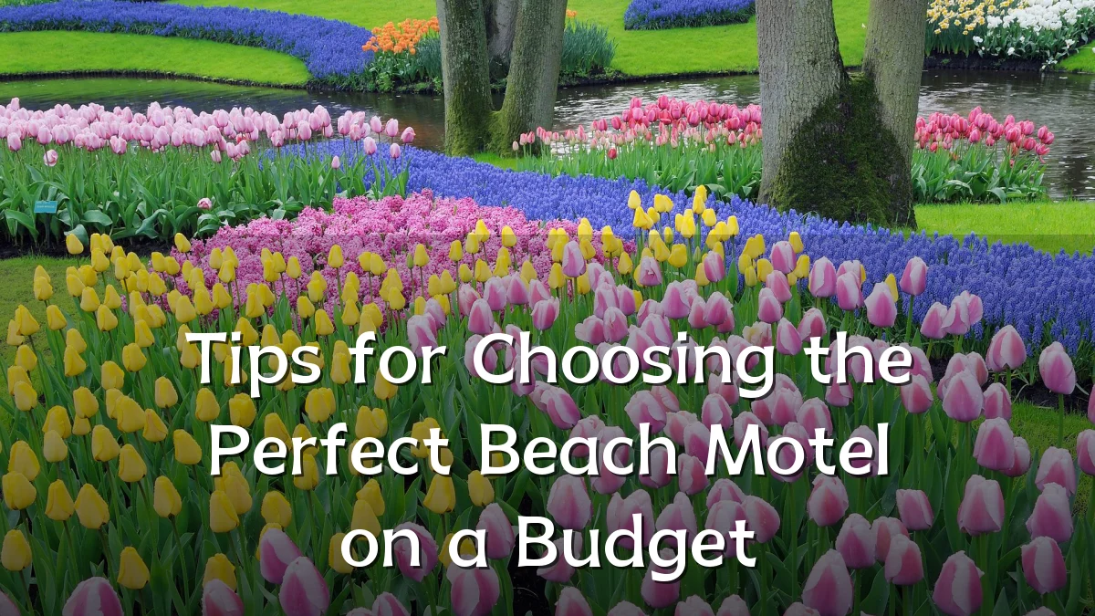 Tips for Choosing the Perfect Beach Motel on a Budget