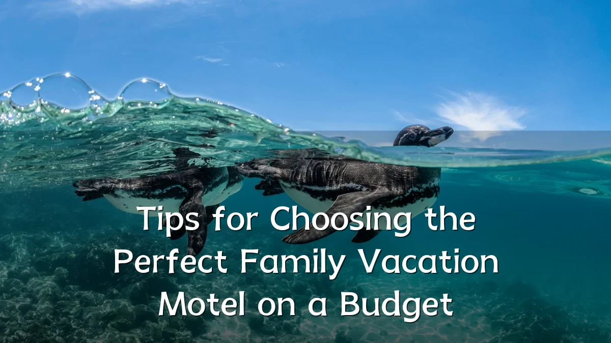 Tips for Choosing the Perfect Family Vacation Motel on a Budget
