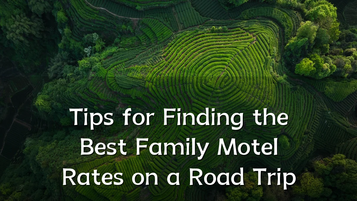 Tips for Finding the Best Family Motel Rates on a Road Trip