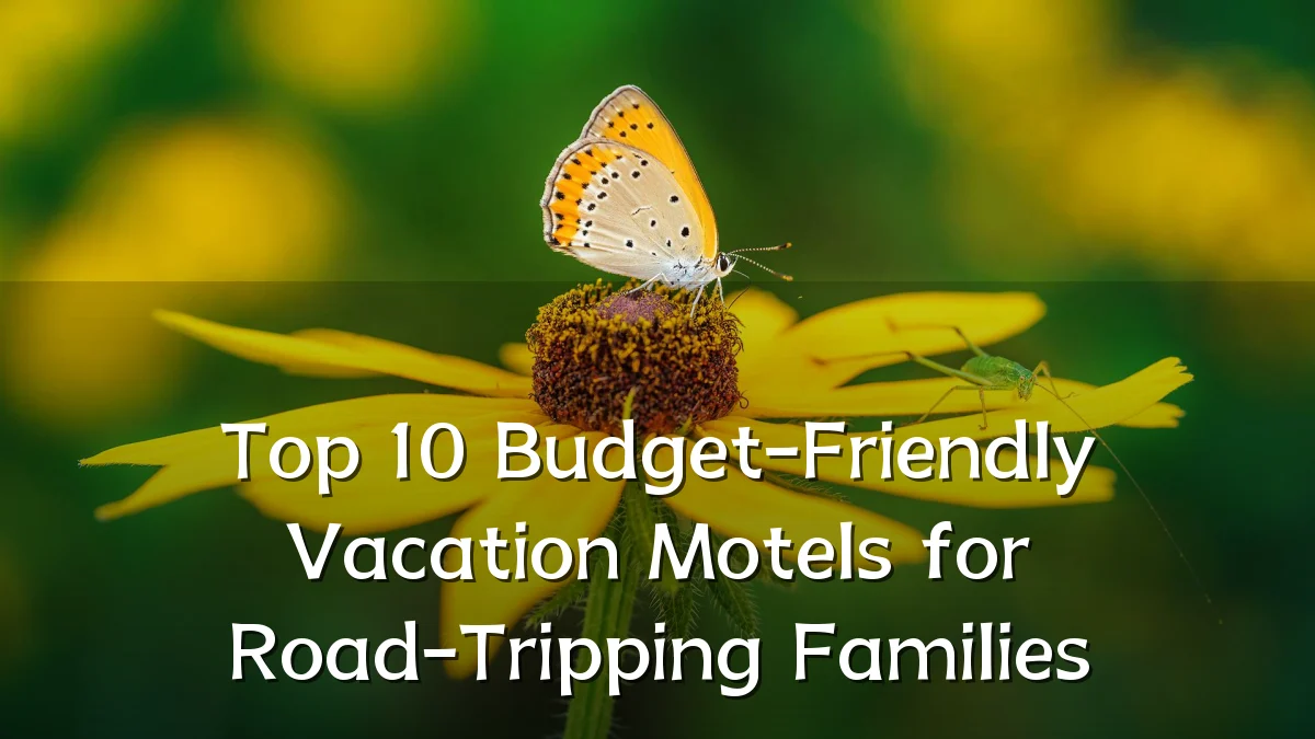 Top 10 Budget-Friendly Vacation Motels for Road-Tripping Families