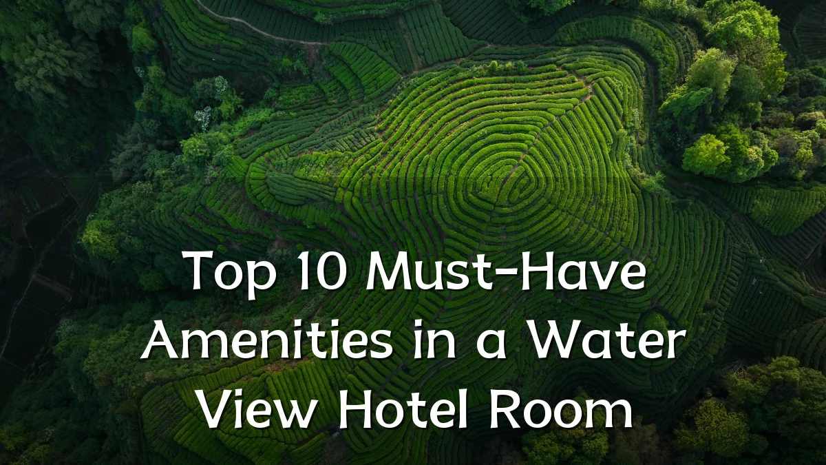 Top 10 Must-Have Amenities in a Water View Hotel Room
