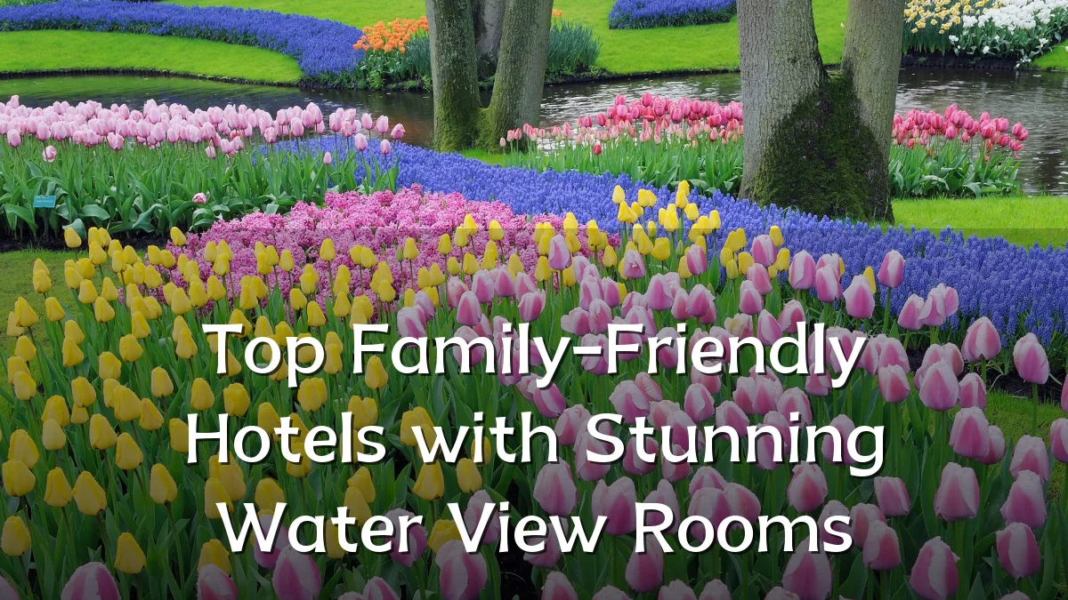 Top Family-Friendly Hotels with Stunning Water View Rooms