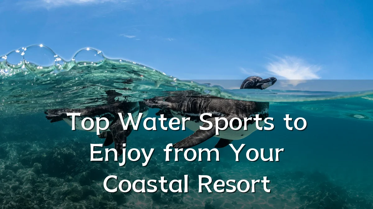 Top Water Sports to Enjoy from Your Coastal Resort