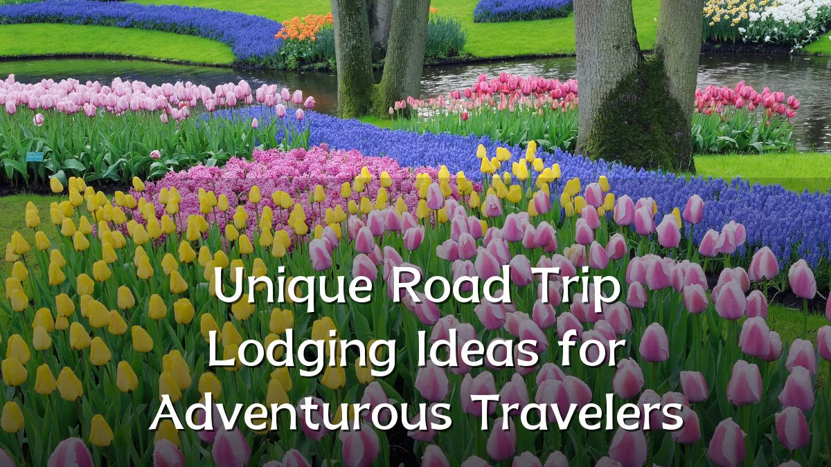 Unique Road Trip Lodging Ideas for Adventurous Travelers