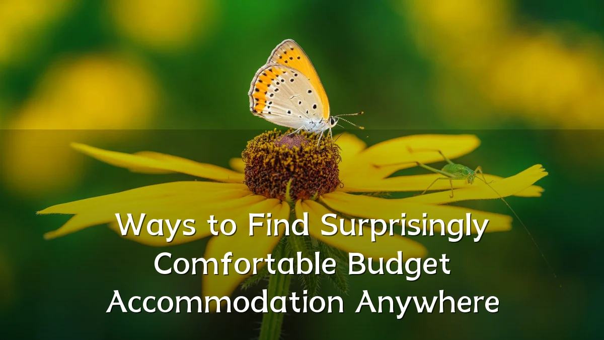 Ways to Find Surprisingly Comfortable Budget Accommodation Anywhere