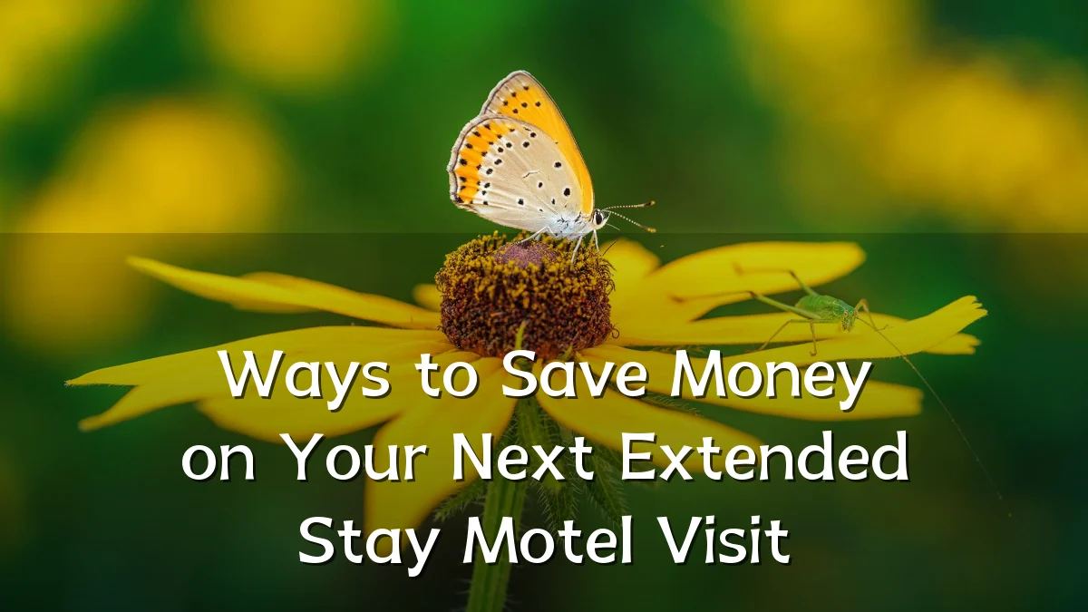 Ways to Save Money on Your Next Extended Stay Motel Visit