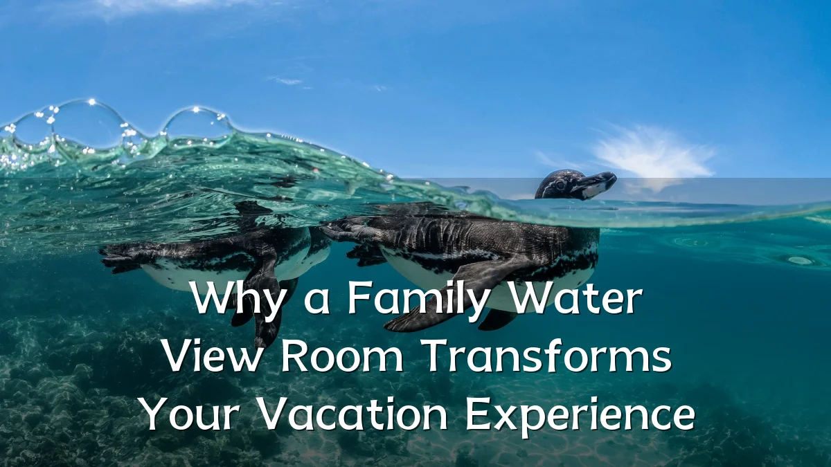 Why a Family Water View Room Transforms Your Vacation Experience