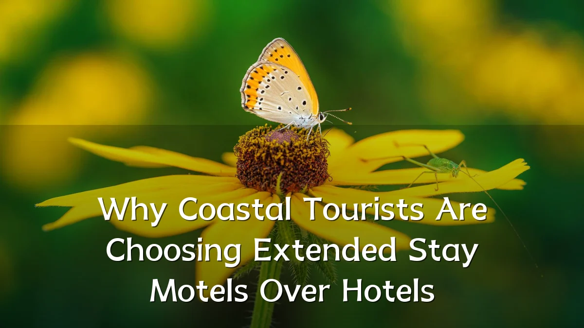 Why Coastal Tourists Are Choosing Extended Stay Motels Over Hotels