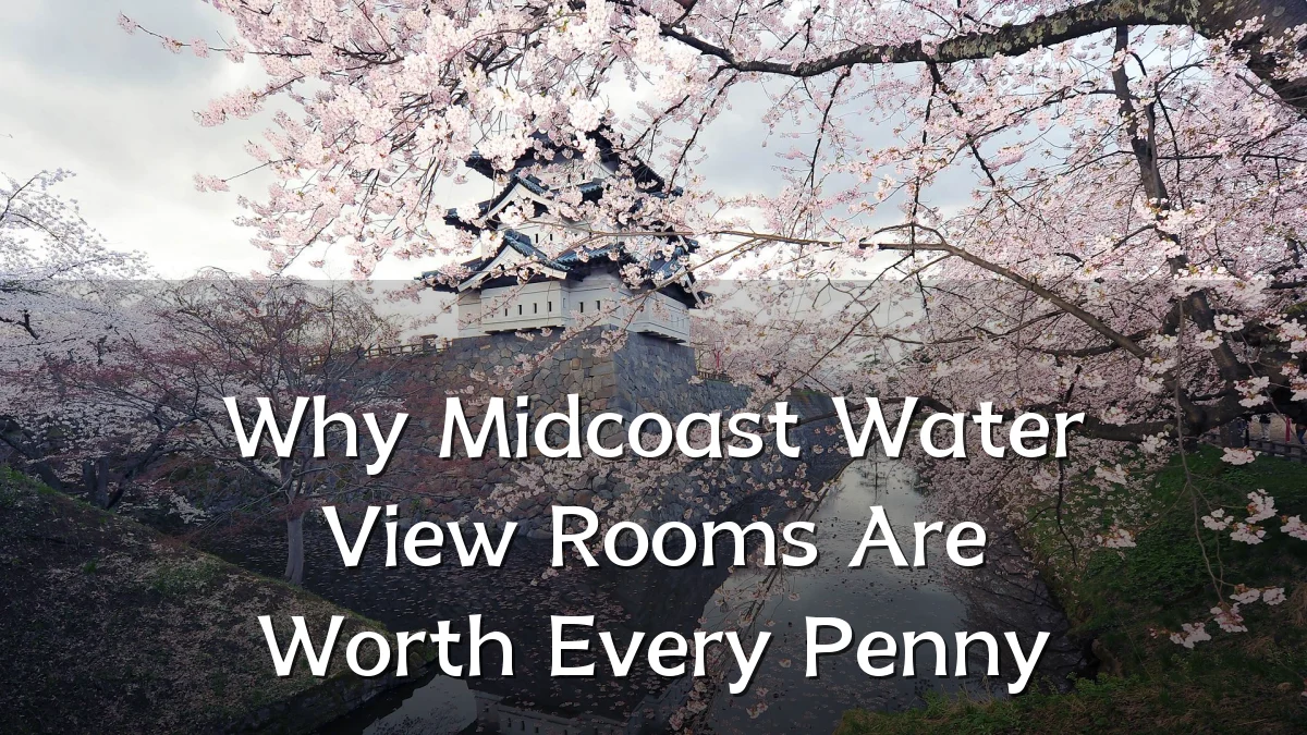 Why Midcoast Water View Rooms Are Worth Every Penny